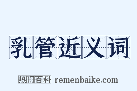 乳管近义词是什么意思的图片